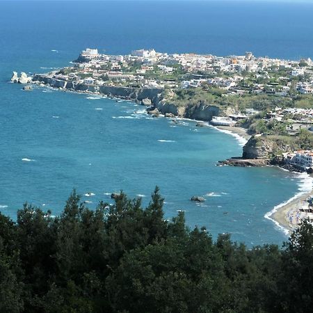 Villa Andrea Forio di Ischia Exterior foto