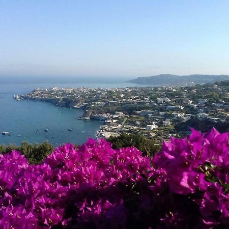 Villa Andrea Forio di Ischia Exterior foto