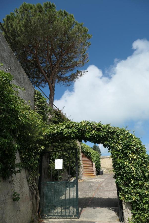 Villa Andrea Forio di Ischia Exterior foto