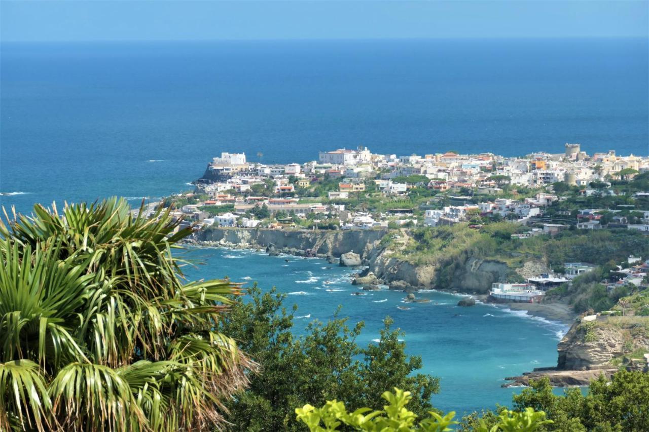 Villa Andrea Forio di Ischia Exterior foto