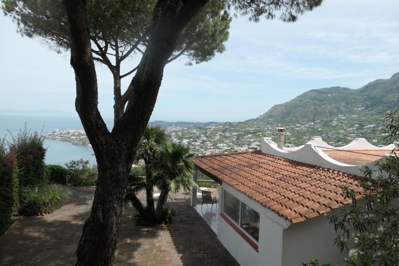 Villa Andrea Forio di Ischia Exterior foto