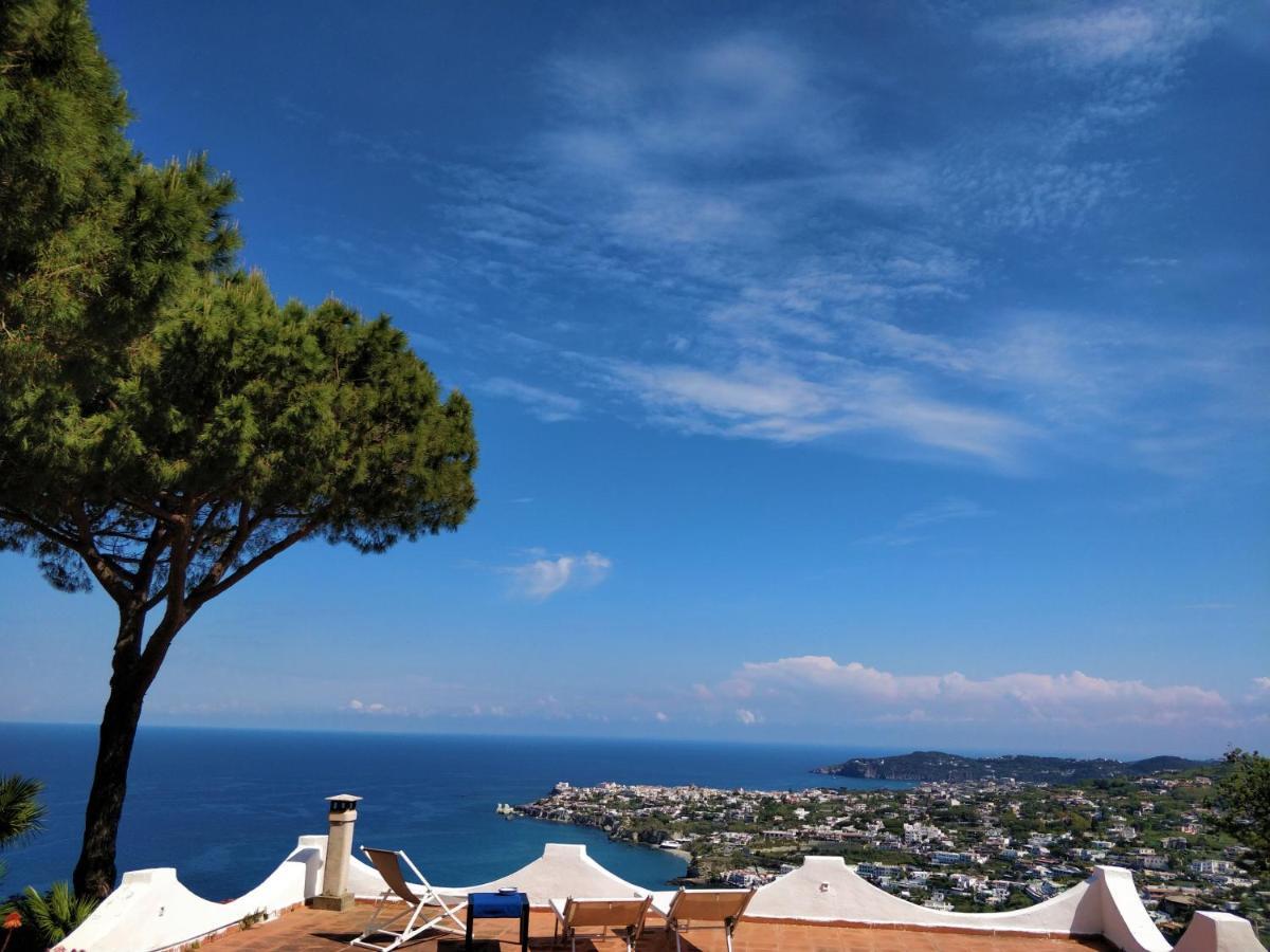 Villa Andrea Forio di Ischia Exterior foto